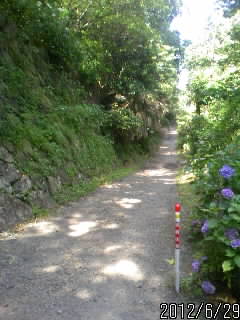 三光神社の石垣２