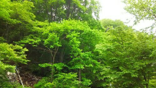 rblog-20170602230855-02.jpg