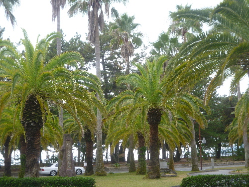 P1070628.JPG