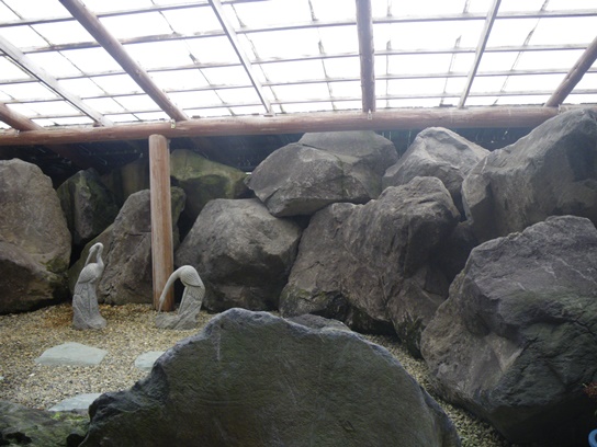 温泉