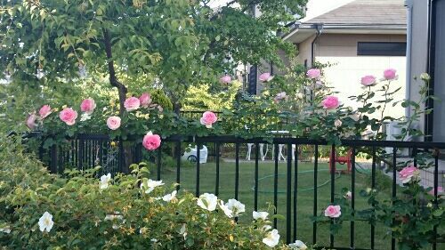 rblog-20170523184645-01.jpg