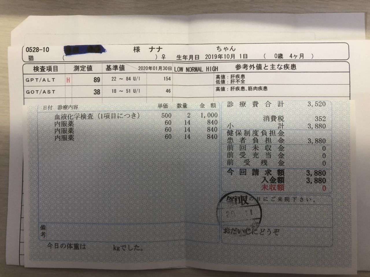 ナナちゃん 肝臓の数値 Gpt がほぼ正常値に 奥多摩トラウト 房総ソルトルアー入門 猫の保護活動もやってるよ 楽天ブログ