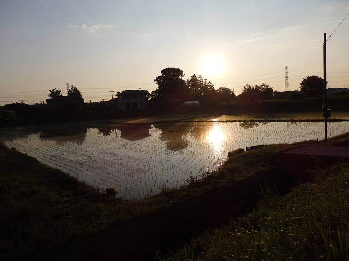 2016_0611_051350-P6110008-15.jpg