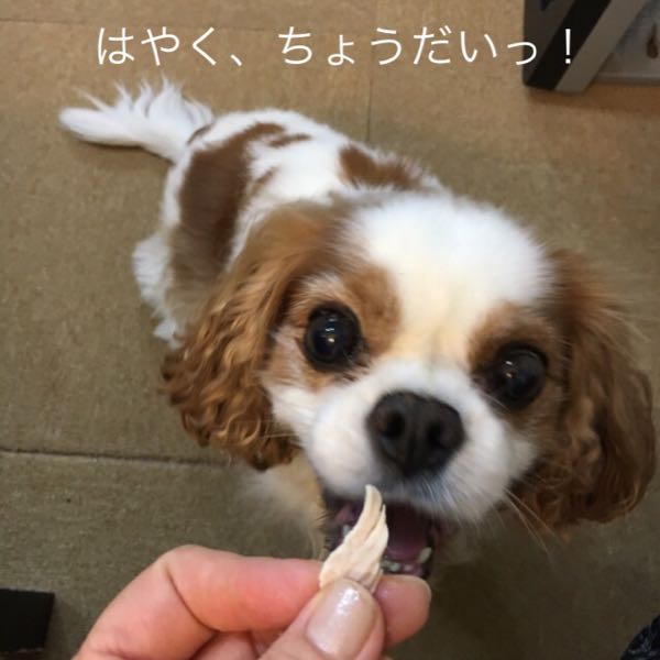 rblog-20170804205322-02.jpg