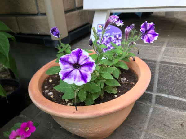 rblog-20180628165032-02.jpg