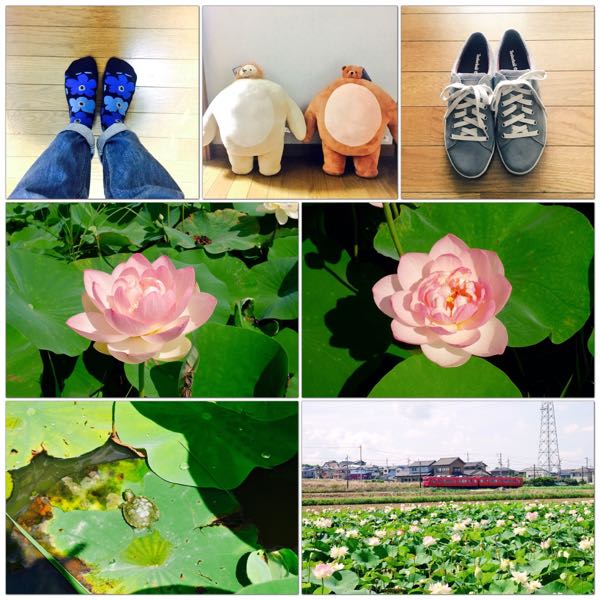 rblog-20170820193658-04.jpg