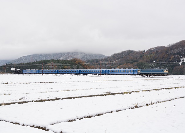 2014.12.07　2号　D7100 1.jpg