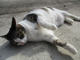 IMG_2556ss.jpg