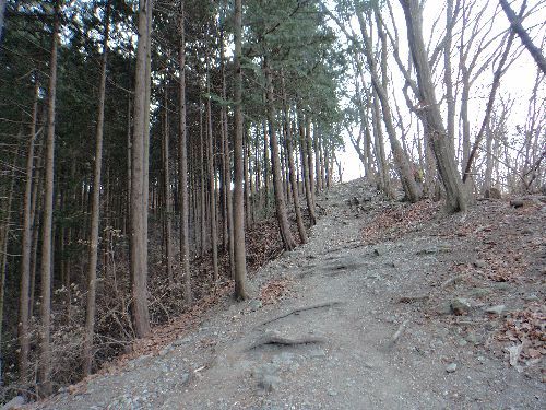 秩父・宝登山497．1m山行で幸せの香り満喫 | やっぱり山と花が好き - 楽天ブログ