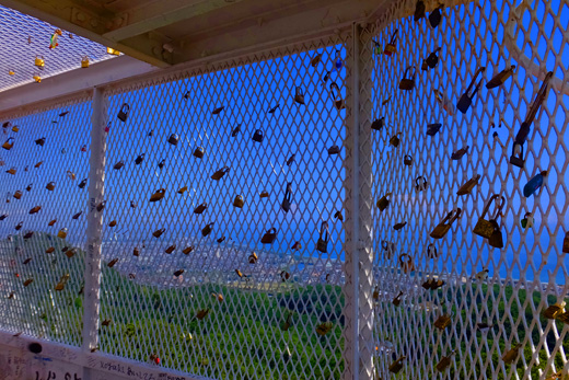 DSCF5118.jpg