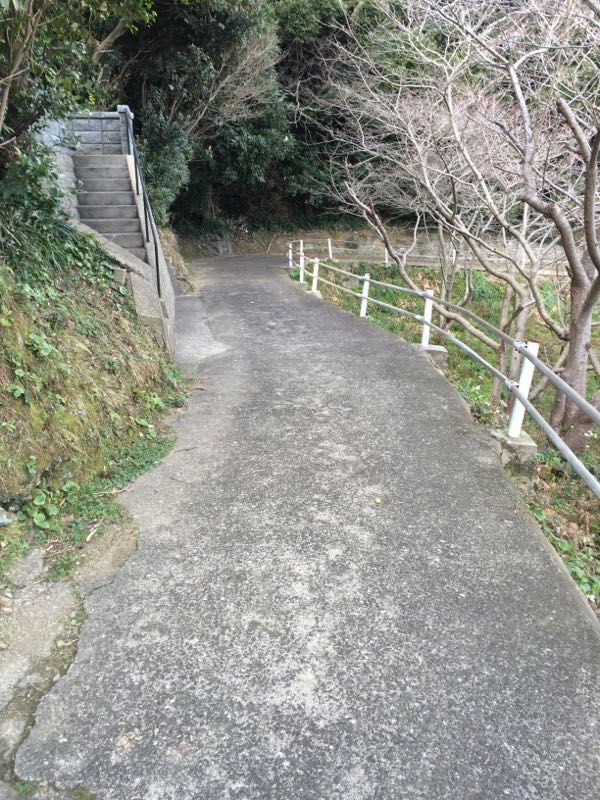 rblog-20160225132347-01.jpg
