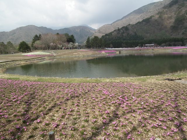 DSCF3794.JPG