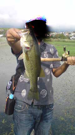 080903_0850~01.JPG
