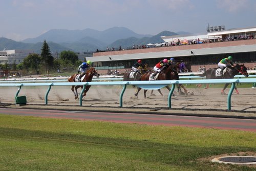 競走馬とジョッキー