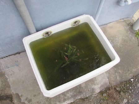 16.01.26外２.JPG
