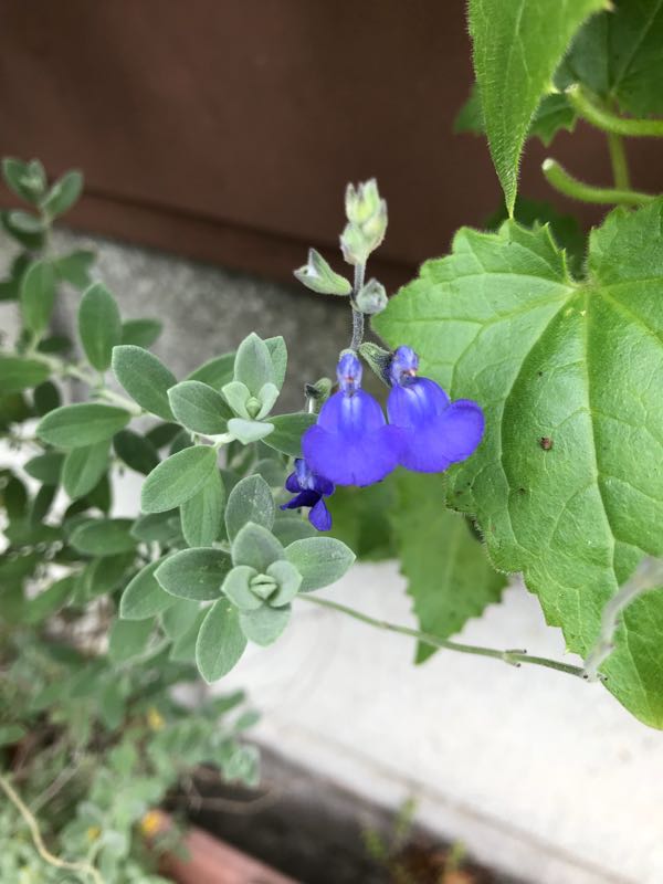 rblog-20180531150201-07.jpg