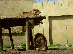 20120428(35).jpg