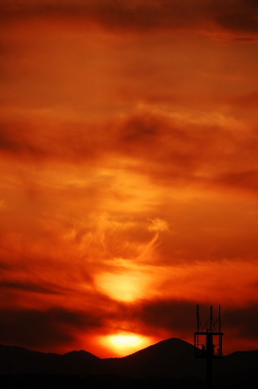 D40 369.jpg