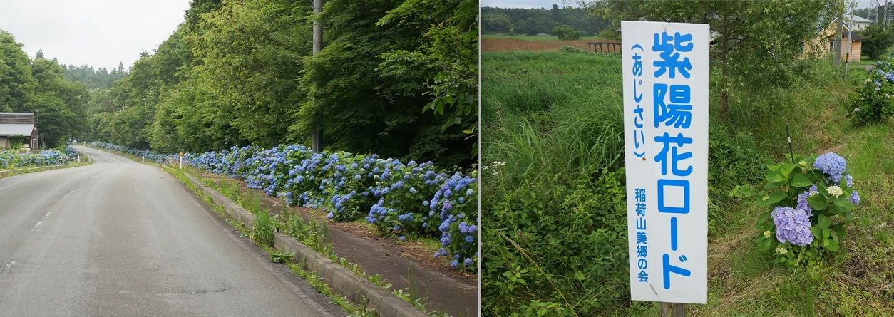 県央 盛岡市 雫石町 紫波町 あじさい が見ごろ イーハトーブログ 楽天ブログ