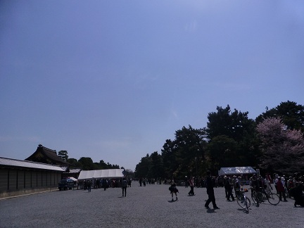 578.JPG