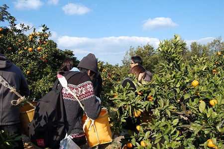 s-DSC_1143.jpg