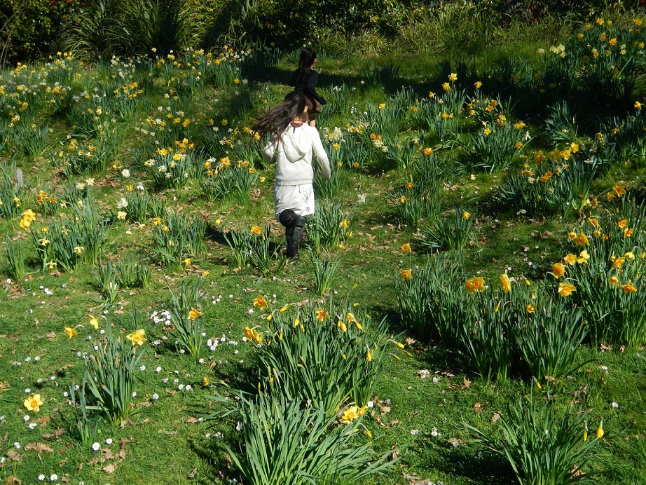 DSCN4522 (p1??p??p?+).jpg