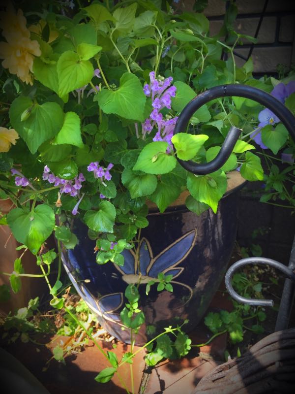 rblog-20160430181122-04.jpg