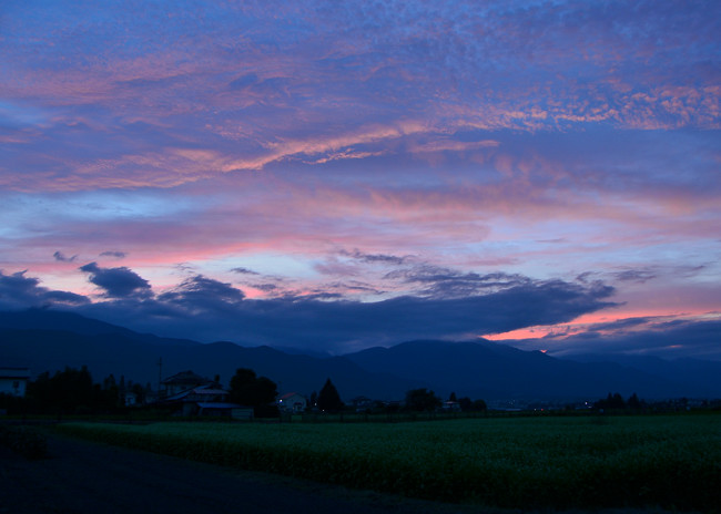 夕焼け空 赤とんぼ フォト安次郎 安らぎの風景 楽天ブログ