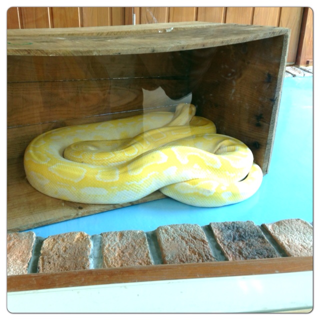 rblog-20130630003120-00.jpg