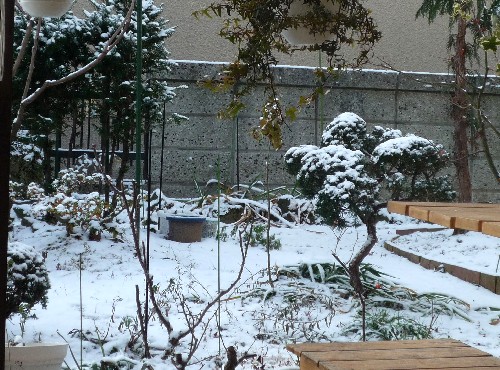 P1120118-1.JPG