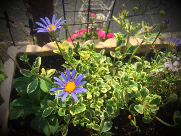 rblog-20160406142601-00.jpg