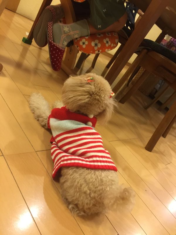 rblog-20161113205621-01.jpg