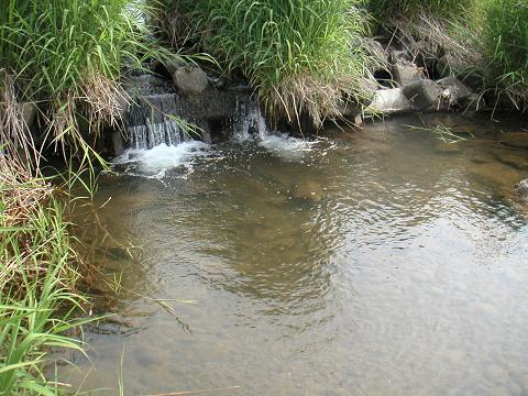 2012.06.02 000.jpg