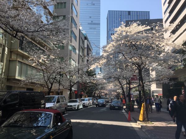 rblog-20180327035419-03.jpg