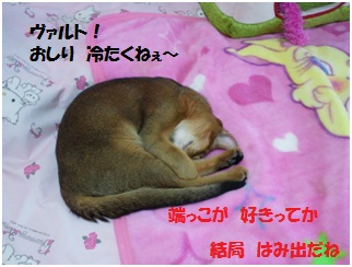 2012端っこ2