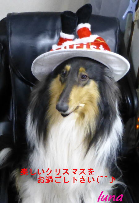 2012クリスマス_お母さん