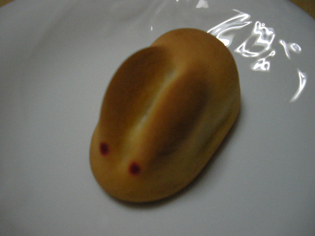 DSCN0974.JPG
