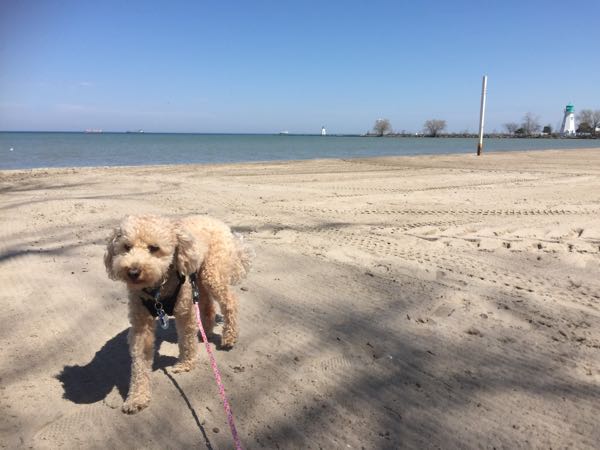 rblog-20180502081757-05.jpg