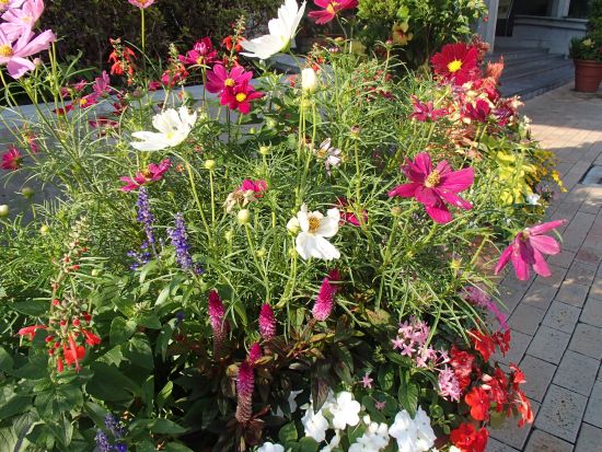 10,15 konntena 2.jpg