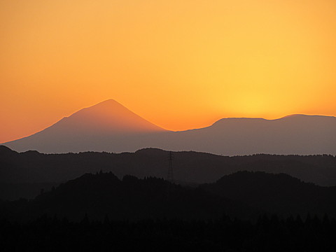 IMG_8904.jpg