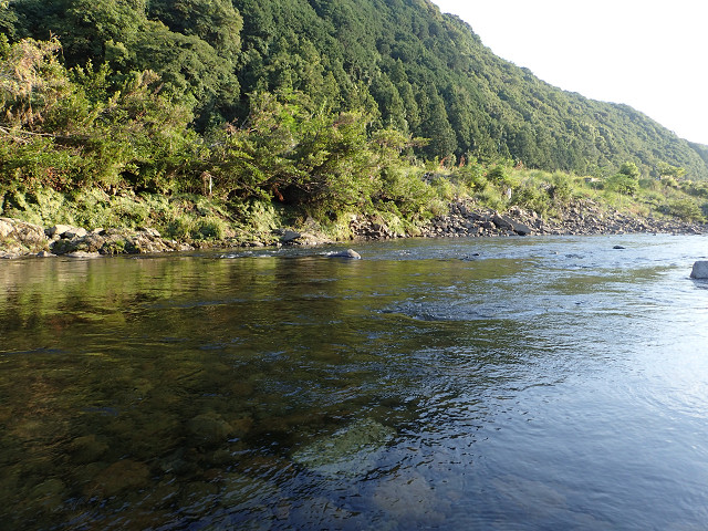 resize0022.jpg