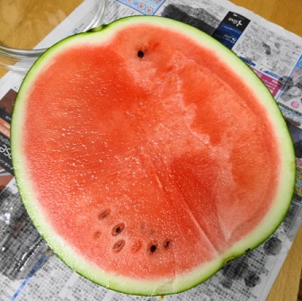 すいか４.JPG