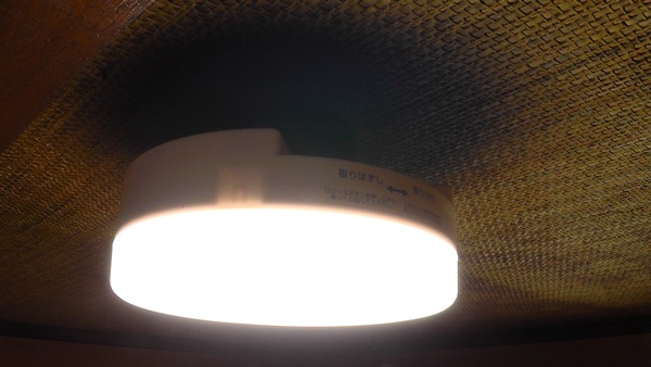 ルミナス LED小型ライト 昼白色 1670lm 100W相当 TN-CLLIN-N ドウシシャ