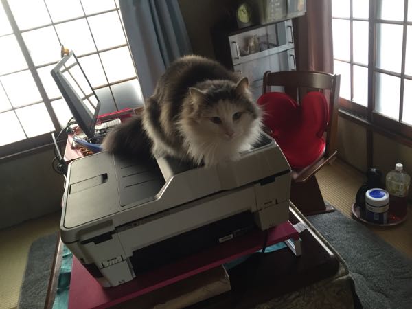 rblog-20151231120031-02.jpg