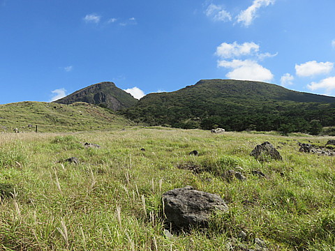IMG_6490.jpg