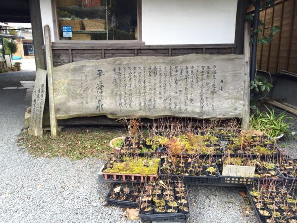 rblog-20160206151442-01.jpg