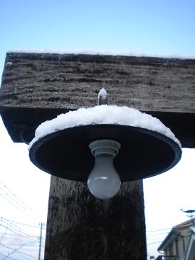 雪が積もった電灯の笠.JPG