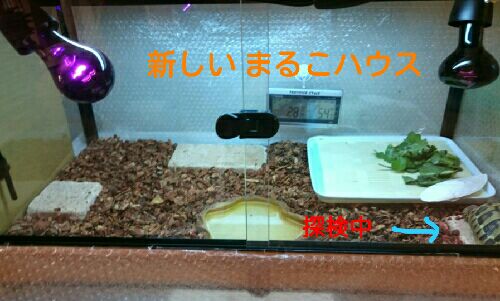 rblog-20151023125809-01.jpg
