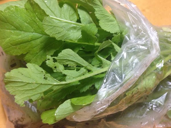 rblog-20161008010315-03.jpg