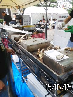 白金蛍祭、2015　11